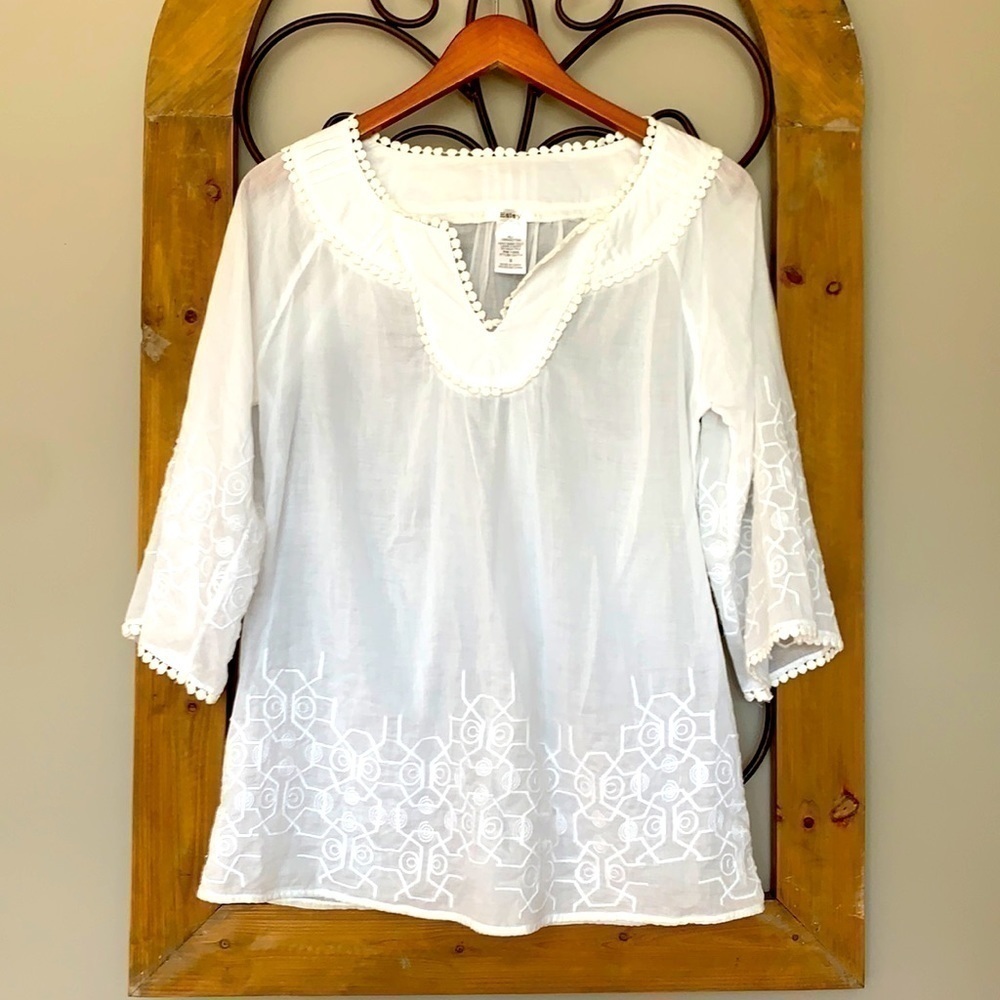 Esley sheer tunic embroidered top